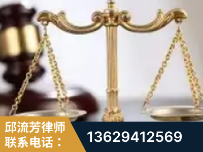 新密-委托诉讼代理人出庭
